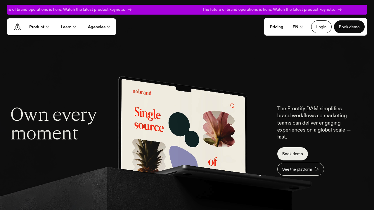 Screenshot of https://www.frontify.com