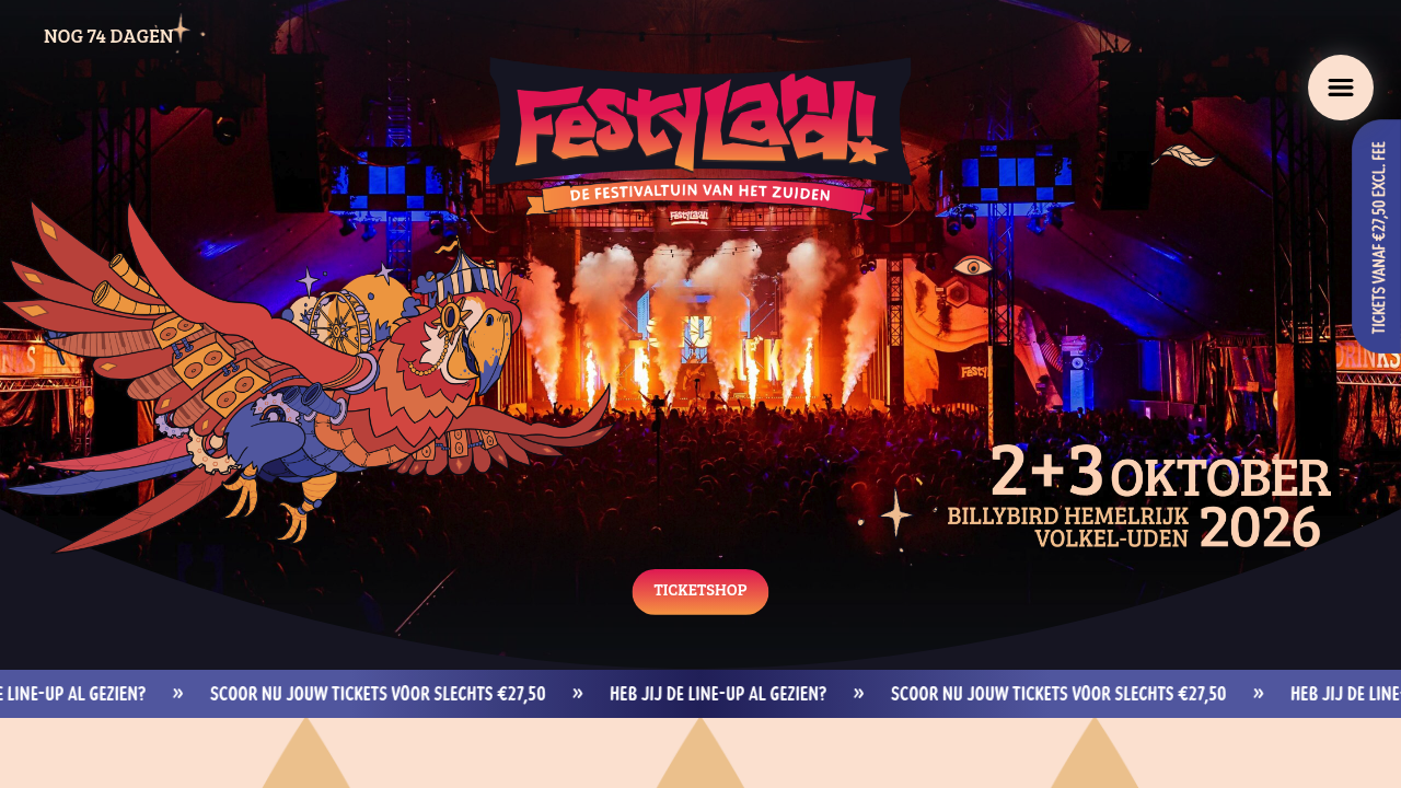 Screenshot of https://festyland.nl