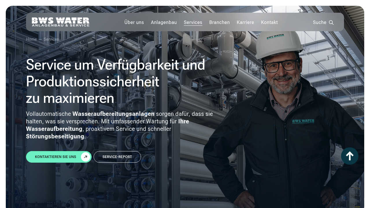 Screenshot of https://bws-water.com/services/